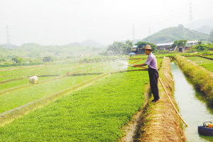 沃爾瑪在塘廈建立東莞首個農超對接基地，新鮮蔬菜直供零售
