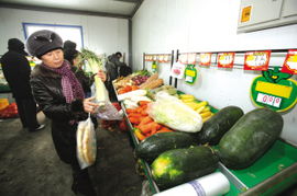 新疆商務主打民生牌，新鮮蔬菜零售前沿實踐