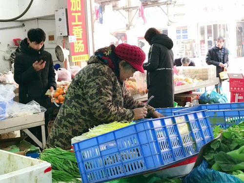 五福街美食記 先借五個胃，嘗盡新鮮蔬菜零售的獨特風味