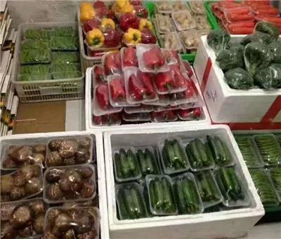 新鮮蔬菜零售與配送服務全解析 價格、批發與便捷之道